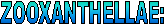 ZOOXANTHELLAE: