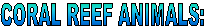 CORAL REEF ANIMALS: