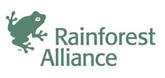 Educational curriculums for rainforest education.