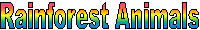 Rainforest Animals