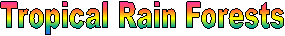 Tropical Rain Forests